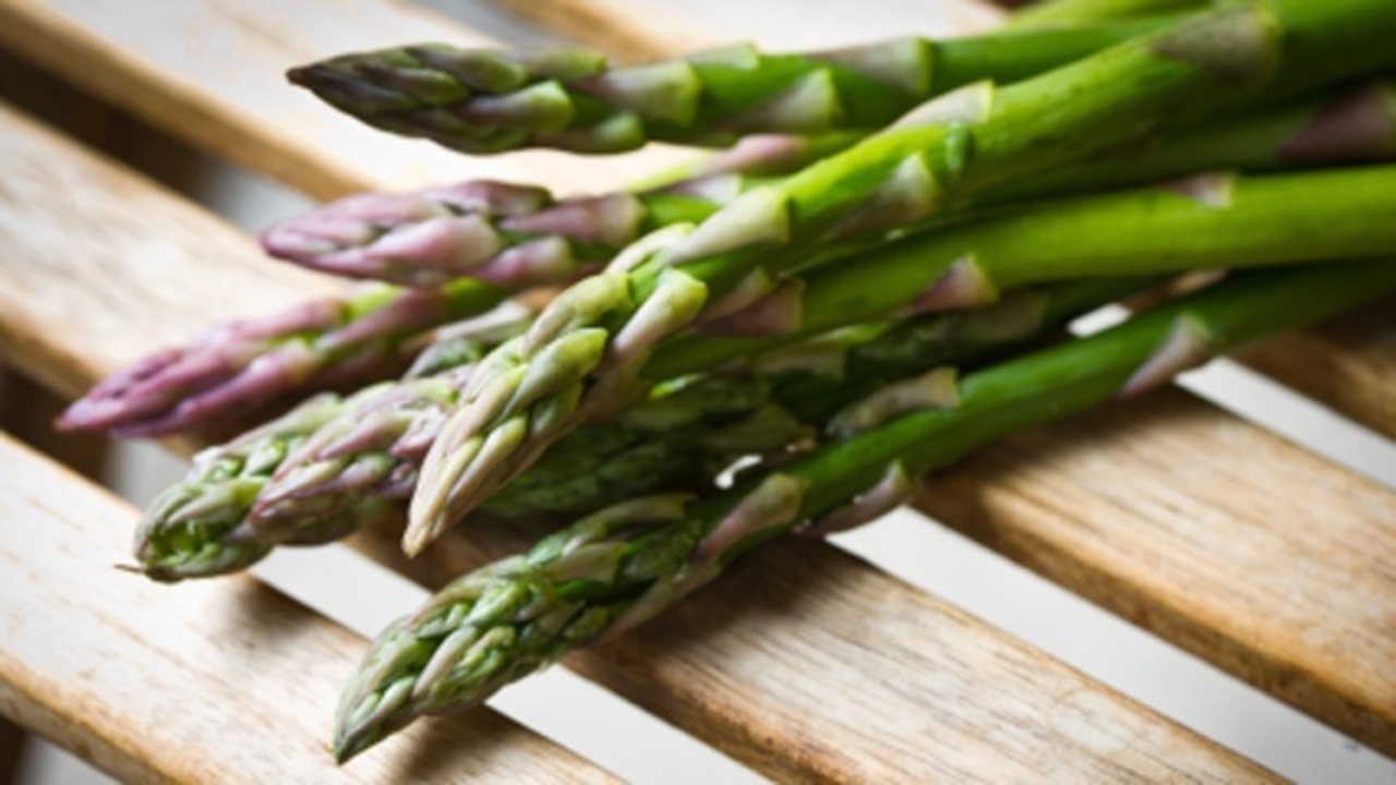 asparagus perus success story essay asparagus perus success story essay