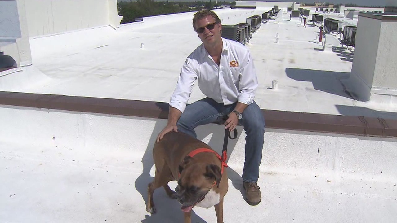 Roofing Company In Delray Beach Roofing Company In Delray Beach