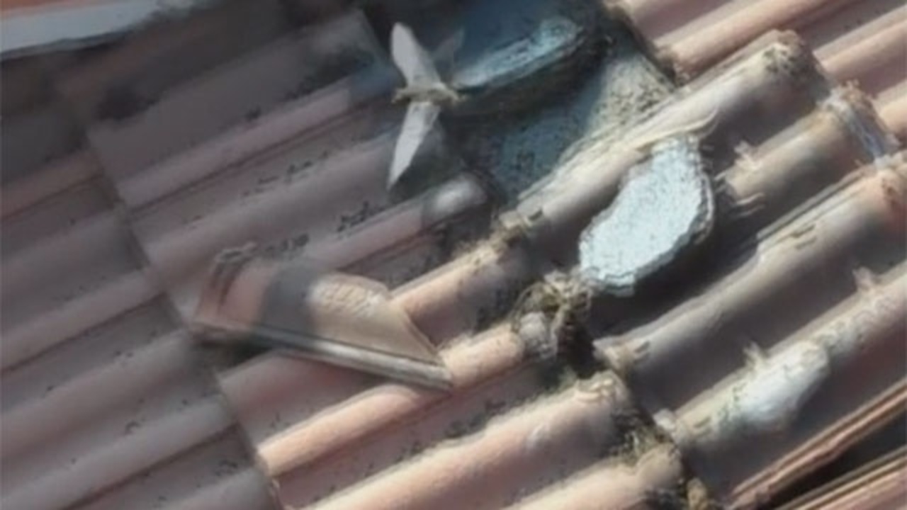 Raw Video Bats Found Under Roof Tiles At Miami Dade Home