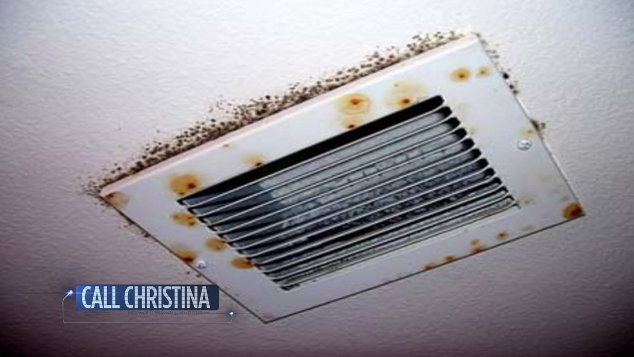 Steps To Take If Battling Mold In Al Homes