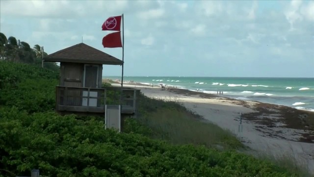 More Palm Beach County Beaches Closed Over Red Tide Concerns